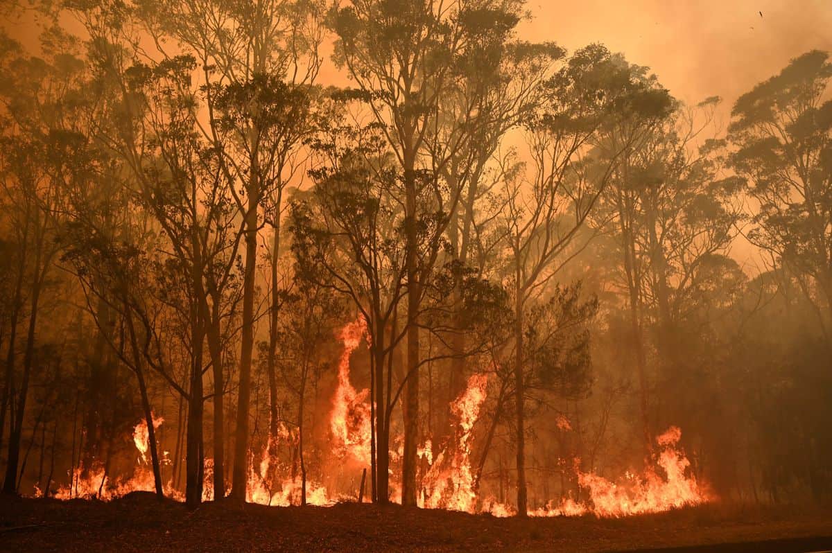 Australian bushfire crisis: PM Scott Morrison calls up 3000 reservists