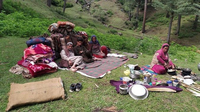 In Pictures: Amid lockdown, nomads continue with their normal life in Valley