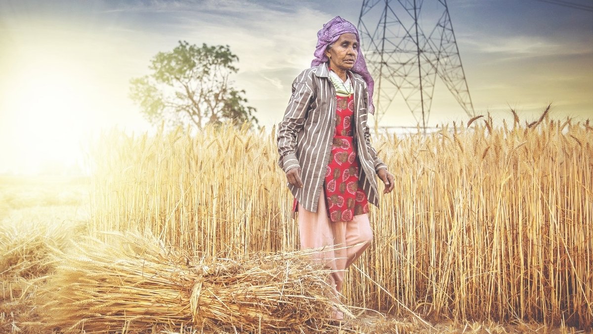 December 23rd: Kisan Diwas in India (Farmer’s Day) - Digpu