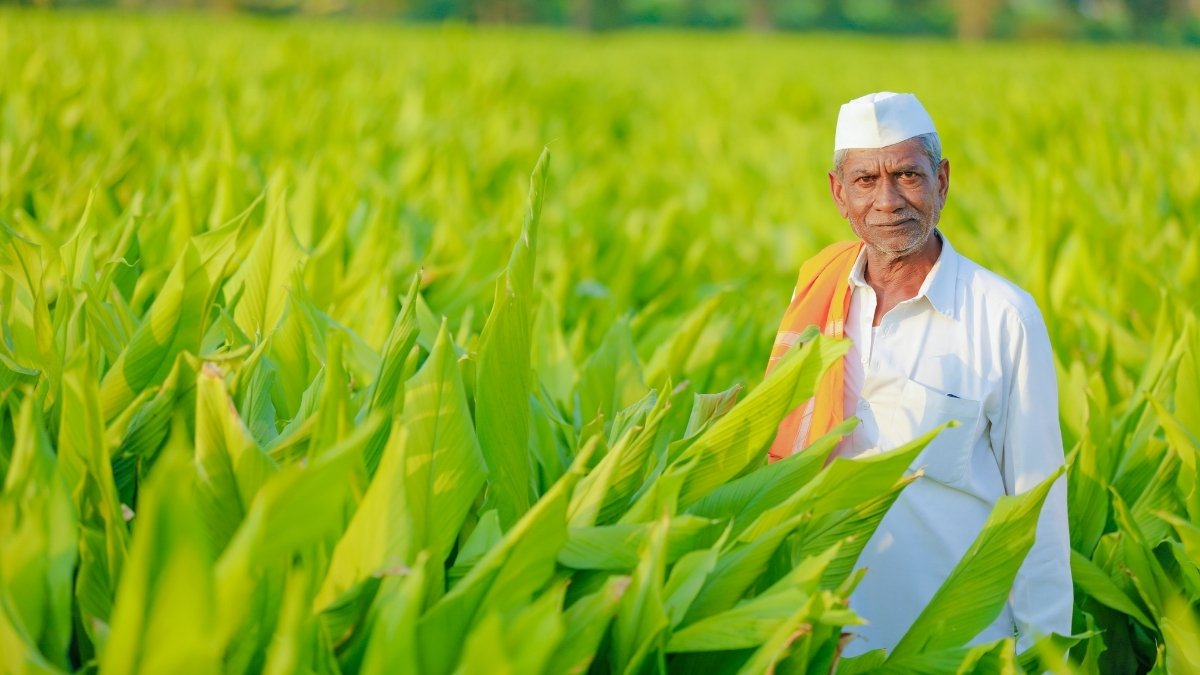 December 23rd: Kisan Diwas in India (Farmer’s Day) - Digpu