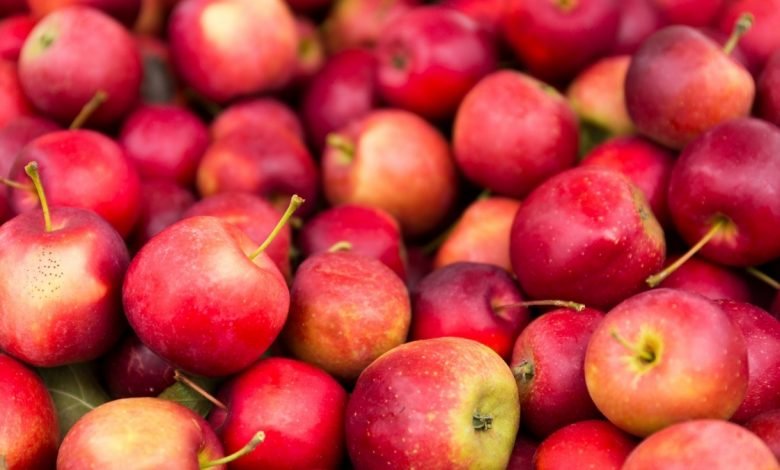 Innovates supply chain for apple fruit in J&K