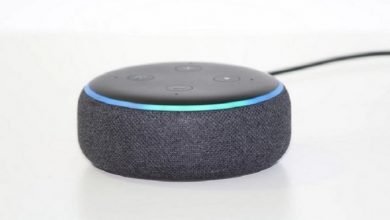 Amazon Alexa rolls out live translation feature-Digpu