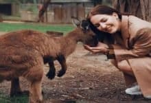 Kangaroos can communicate with humans-Digpu