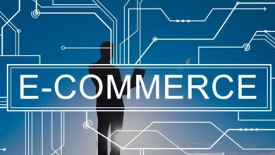 SMEs believe growth in e-commerce to continue-Digpu