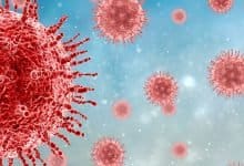 A new strain of coronavirus detected in 8 European countries -Digpu