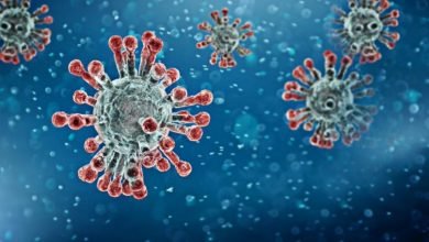 The first case of UK coronavirus variant detected in US -Digpu