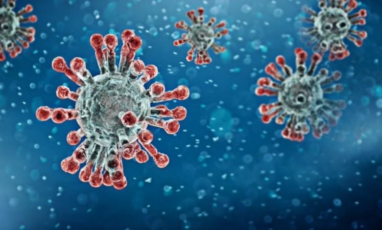 The first case of UK coronavirus variant detected in US -Digpu