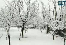 Snowfall In Kashmir On New Year’s Eve, Kashmir witnesses moderate snowfall - Digpu News