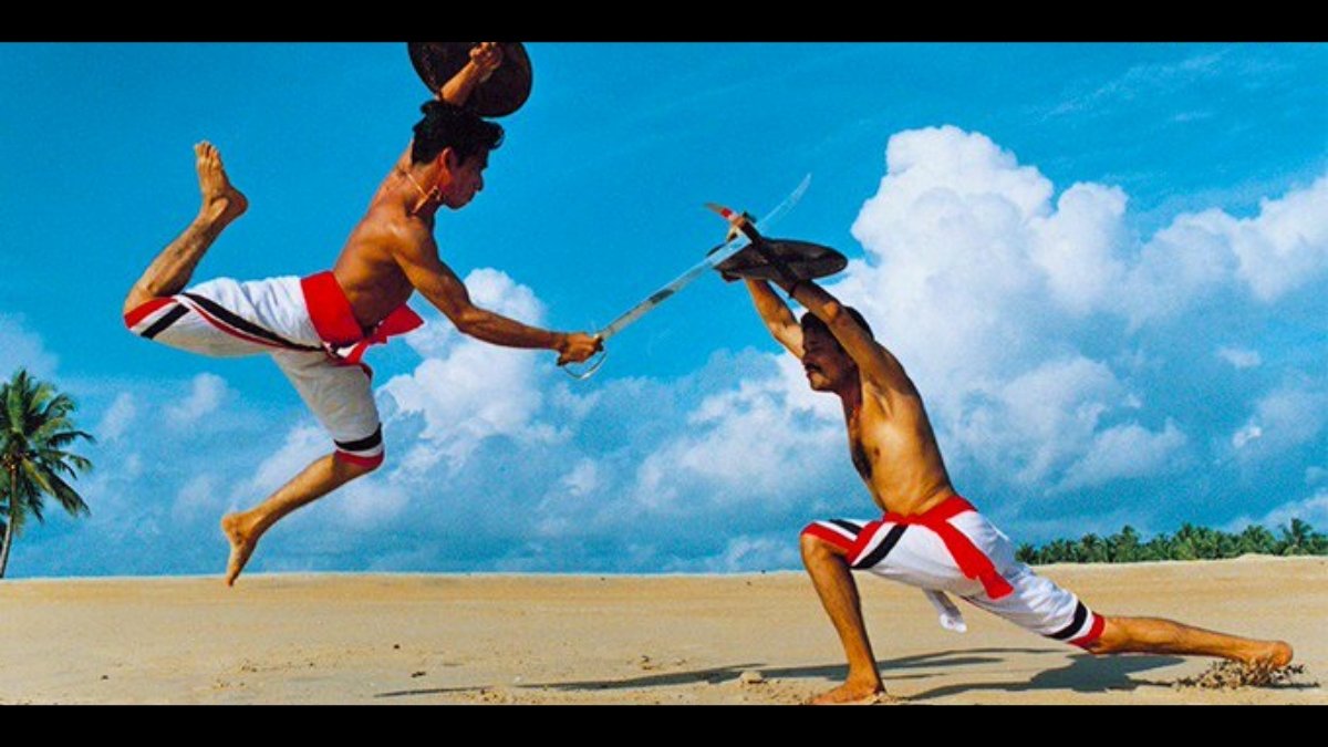 Kerala govt to set up Kalaripayattu Academy-Digpu