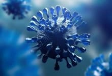 In the last 24 hours no New Covid-19 strain in India-Digpu