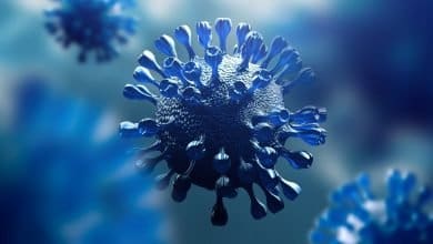In the last 24 hours no New Covid-19 strain in India-Digpu