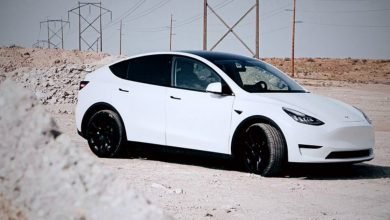 Tesla's cheaper Model Y Standard Range variant available now-Digpu