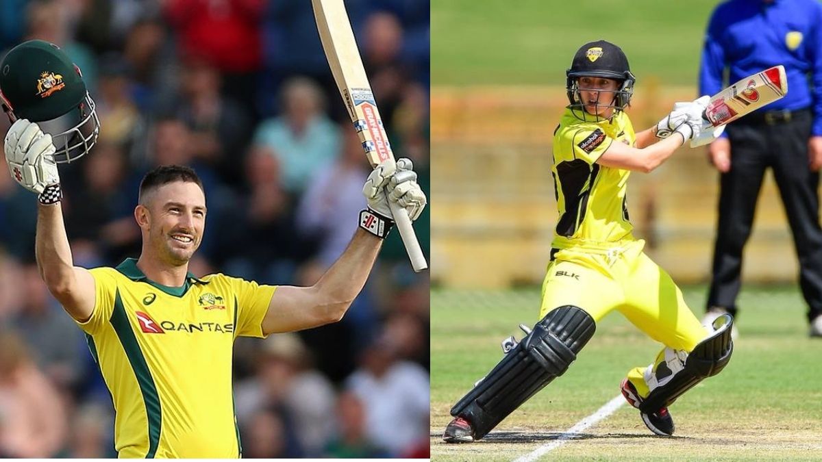 Shaun Marsh and Elyse Villani take Australian domestic awards - Digpu