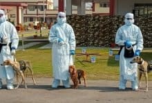 Indian Army demonstrates the capabilities of dogs to detect COVID-19