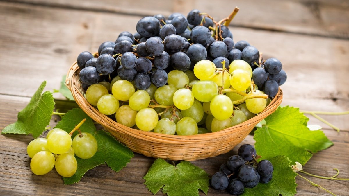 Here's how consuming grapes may protect against UV damage to the skin
