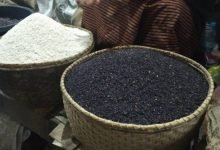 UP to export 20 tonnes of 'Kala Namak' rice to Singapore