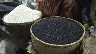 UP to export 20 tonnes of 'Kala Namak' rice to Singapore
