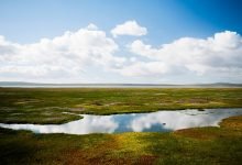 February 2nd: World Wetlands Day - Theme and Significance - Digpu