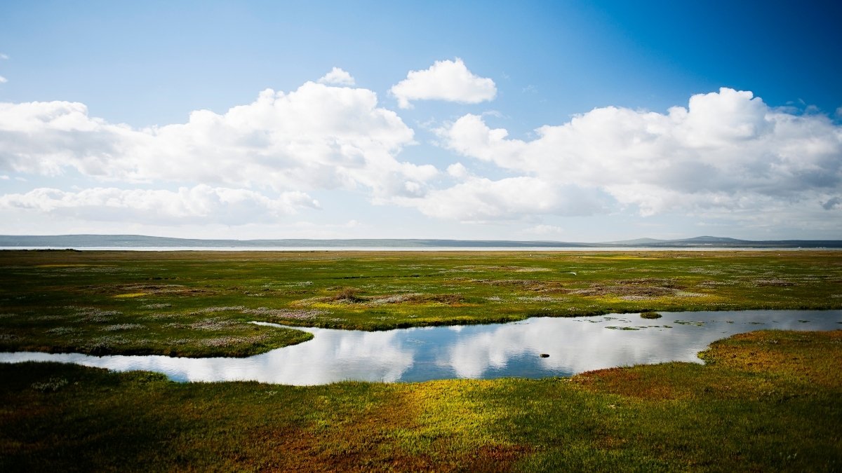 February 2nd: World Wetlands Day - Theme and Significance - Digpu