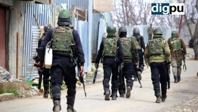 Lawaypora Attack LeT militant identified, OGWs arrested, says IGP Kashmir - Digpu News