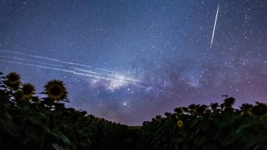Satellite Constellations: The Future of Global Connectivity - Digpu News