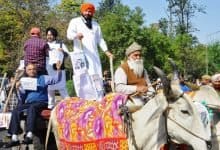 MLAs ride to Punjab Assembly on bullock carts - Digpu News