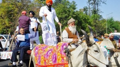 MLAs ride to Punjab Assembly on bullock carts - Digpu News