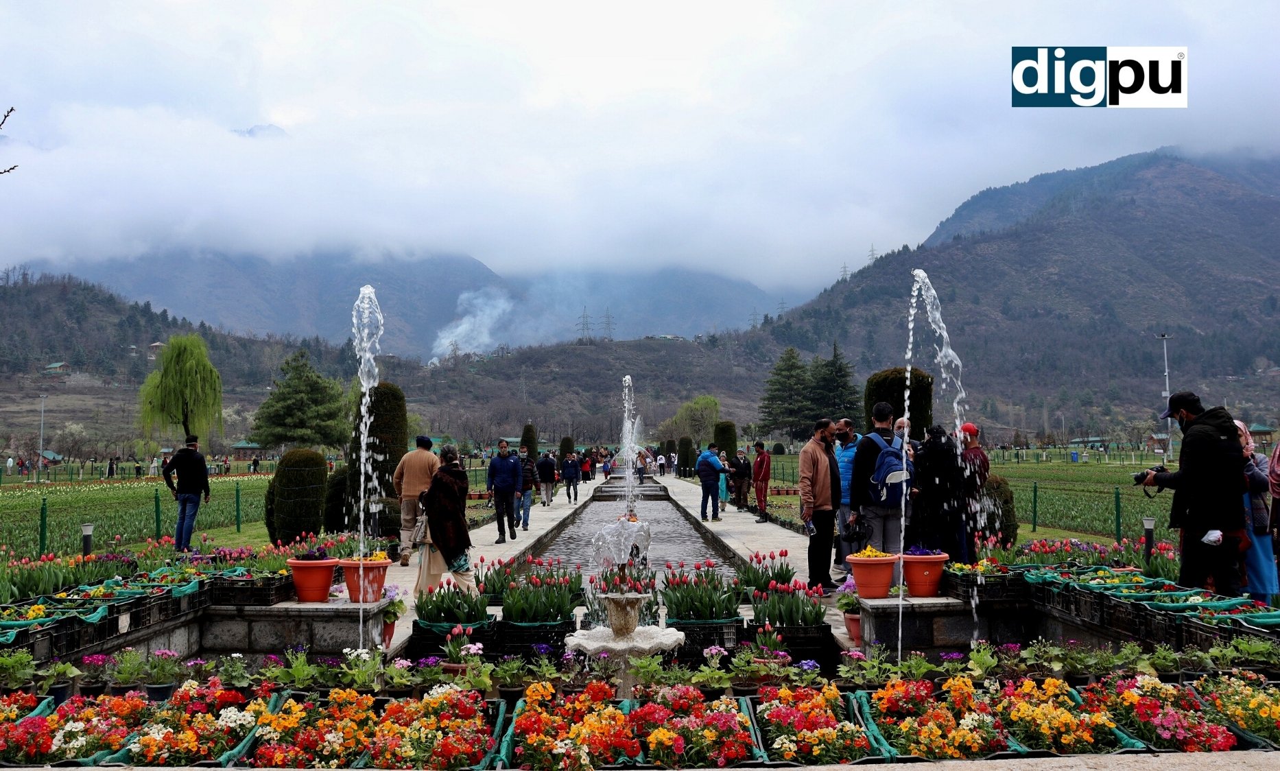 Tulip Garden opens in Srinagar after PM Modi calls it J&K’s ‘Special Day’ - Digpu News