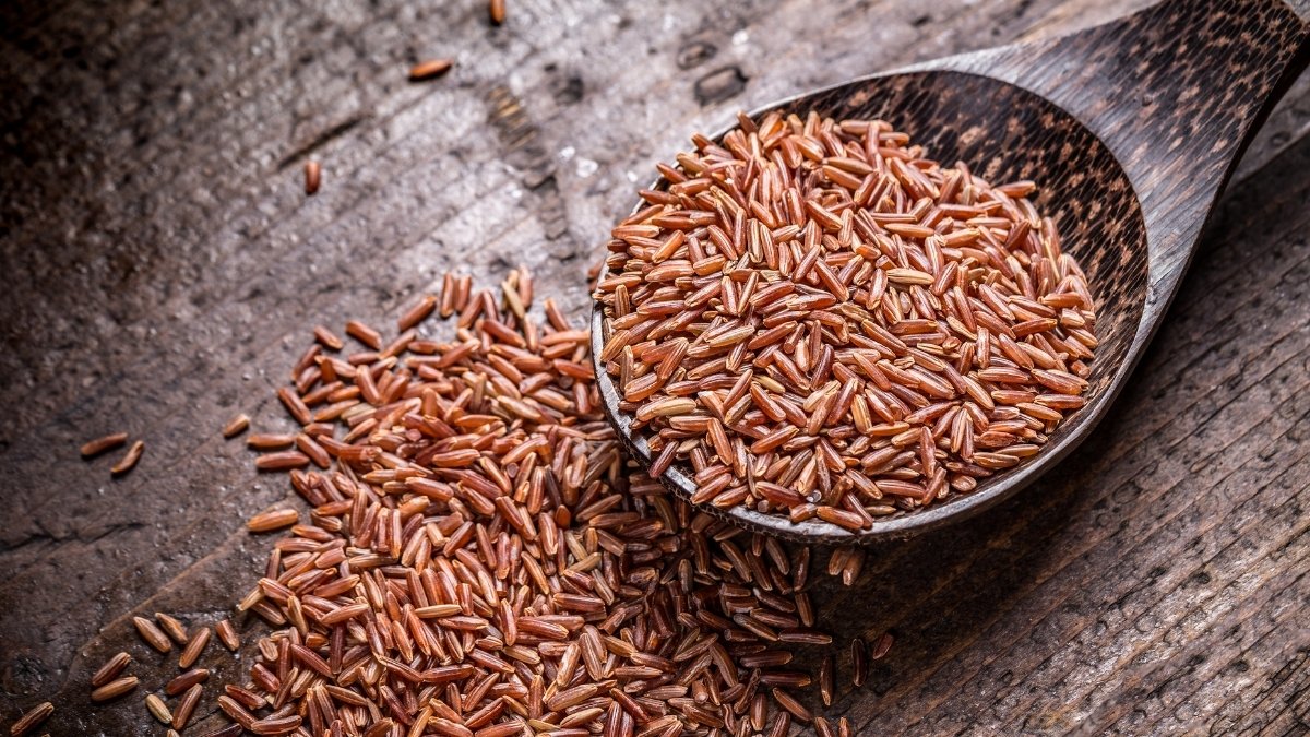 Assam's Red Rice consignment flagged off to the United States