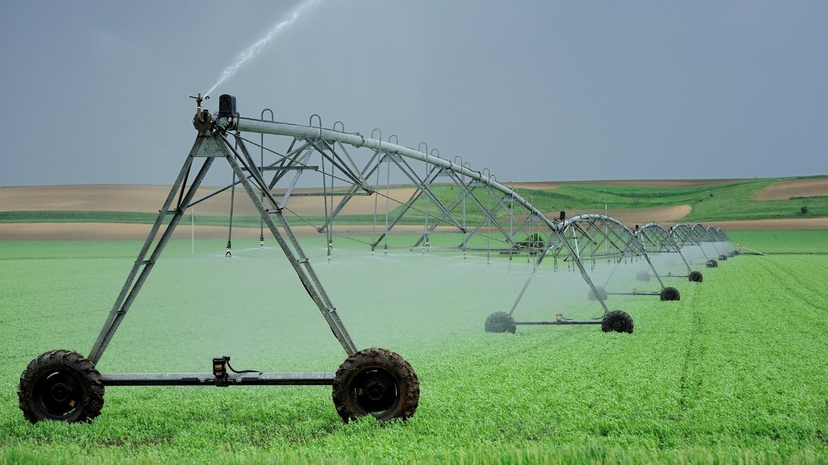 Standard digital camera, AI to monitor soil moisture for affordable smart irrigation