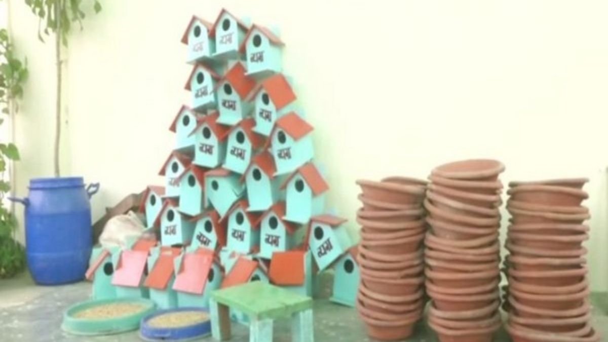World Sparrow Day: NGO in Varanasi distributes nest boxes, millet