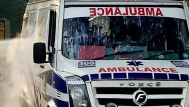Andhra to launch India's first govt run ambulance network for animals