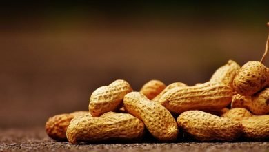 Study finds how much peanut triggers allergic reaction