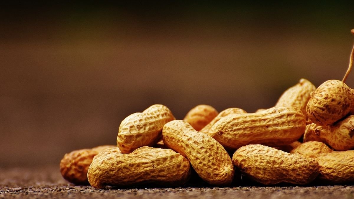 Study finds how much peanut triggers allergic reaction