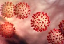 Maharashtra continues to report highest daily COVID-19 cases in India