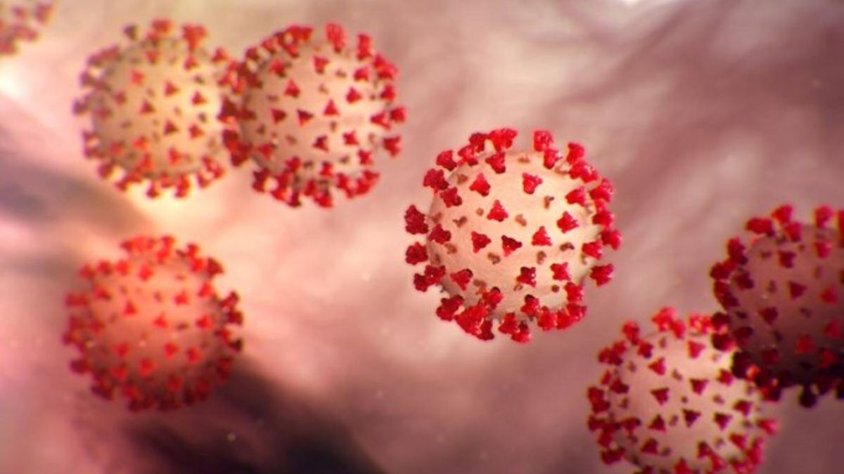 Maharashtra continues to report highest daily COVID-19 cases in India