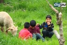 For new wave of COVID-19, J&K Govt responds with closure of schools, night curfew - Digpu News