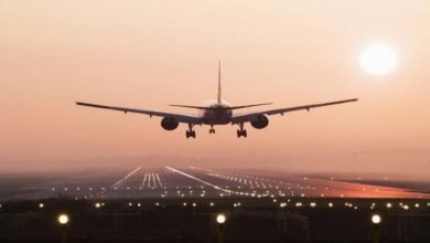As COVID cases rise globally, countries ban international flights