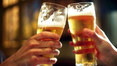 Intoxicating effects of alcohol linked with brain regions, finds study