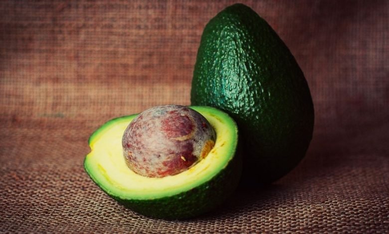 Avocado may offer better leukemia treatment, study affirms