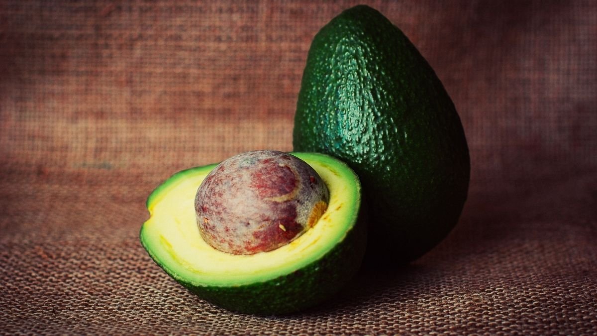 Avocado may offer better leukemia treatment, study affirms