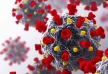 Coronavirus variant B161