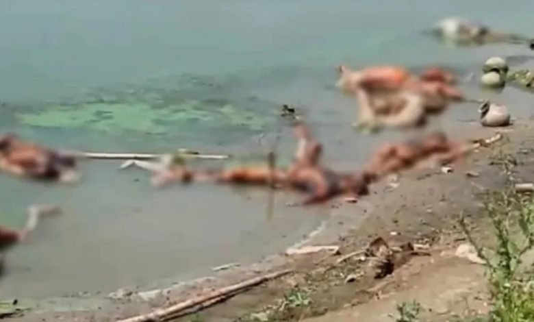 Dead Bodies Floating in the Ganga Paint