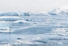 Global warming could reduce biodiversity in tropics: Study