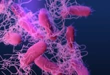 _Good bacteria can be used for clinical treatment of Crohns disease, ulcerative colitis