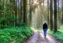 city people get a health boost from nature