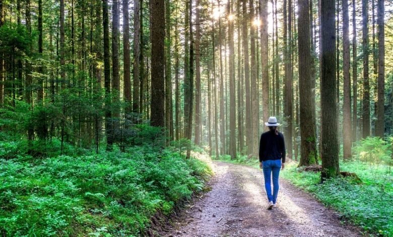 city people get a health boost from nature