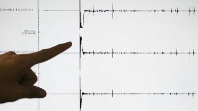 Google's earthquake alerts system to be made available in more countries