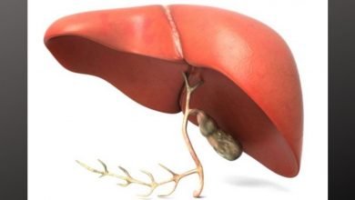 Study finds new weapon in the fight against liver diseases