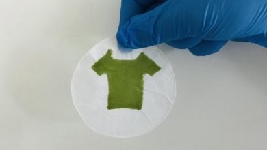 Will your future clothes be made of algae?